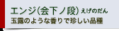 エンジ（会下ノ段）