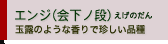 エンジ（会下ノ段）