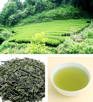 立沢畑茶湯呑み