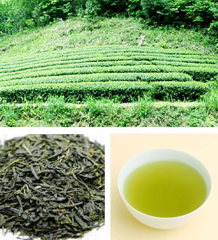 会下ノ段畑茶湯呑み